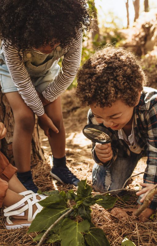 Children,In,Forest,Looking,At,Leaves,As,A,Researcher,Together